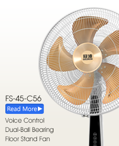FS-45-C56 Floor Fan